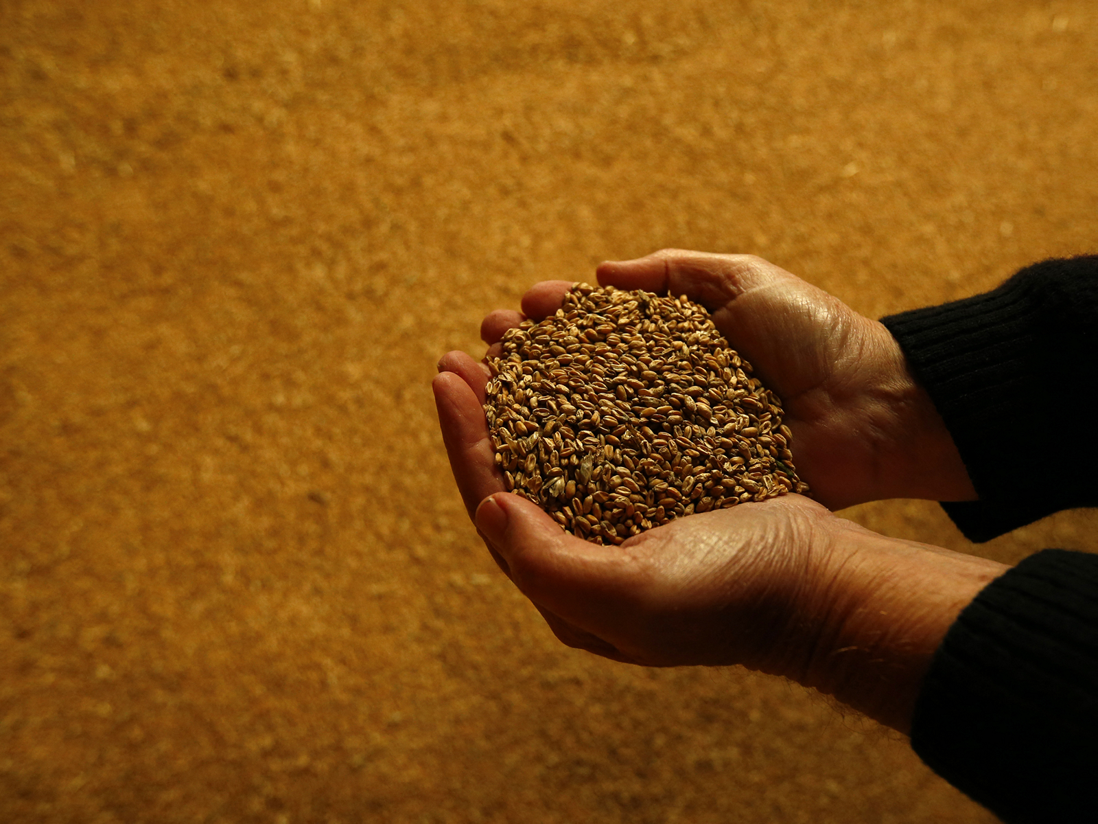 Representative Image (Photo/ Reuters)