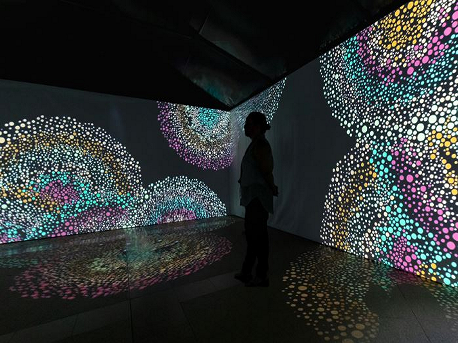 Songlines: Tracking the Seven Sisters (Photo: Kiran Nadar Museum of Art/National Museum of Australia)