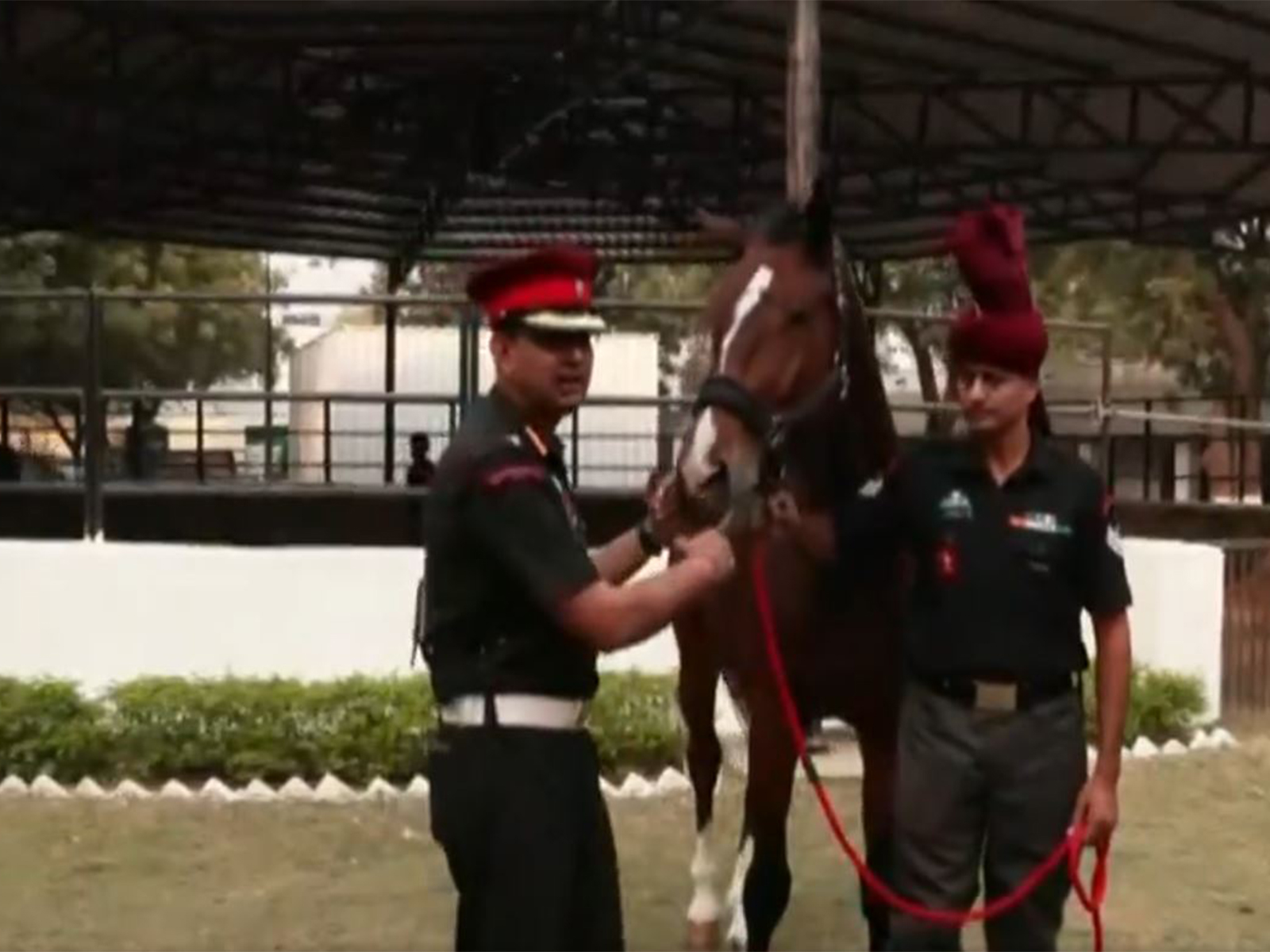 Viraat was the mount of the President's Bodyguard Commandant and took part in 13 Republic Day parades. (Photo/ANI)