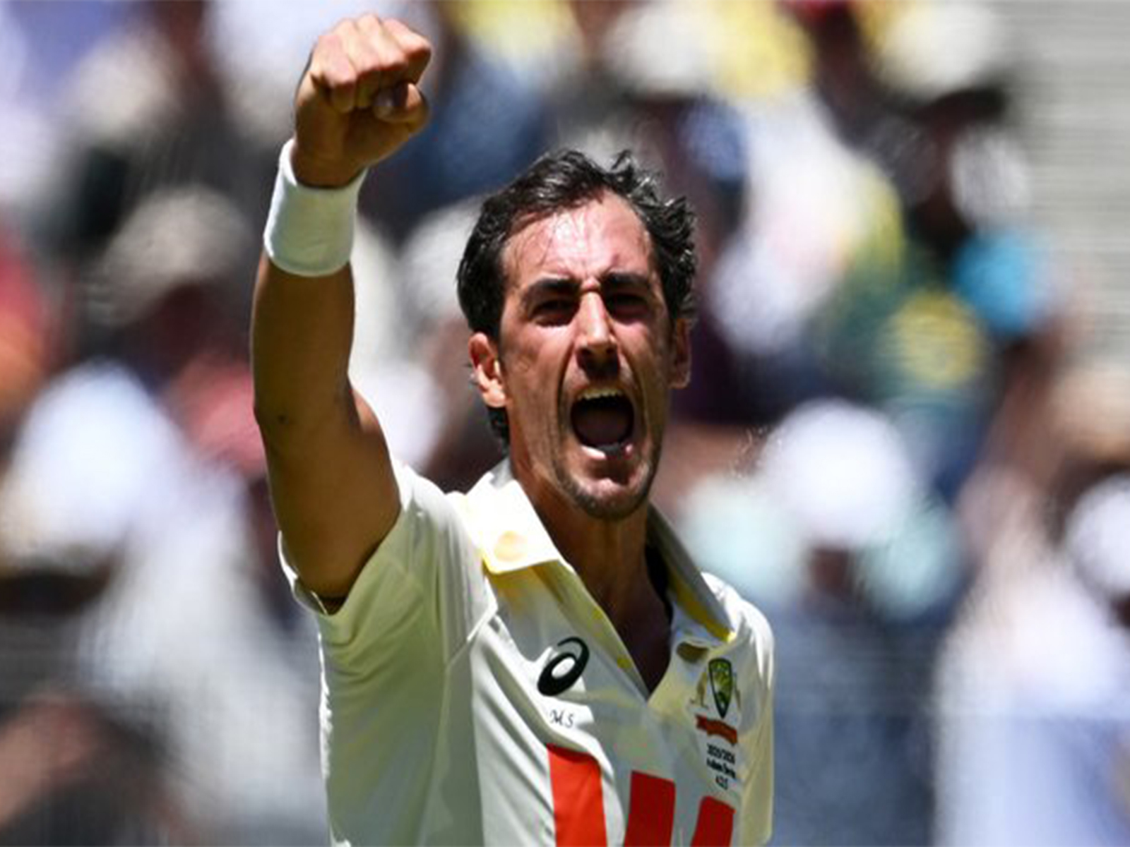 Mitchell Starc. (Photo: cricket.com.au)