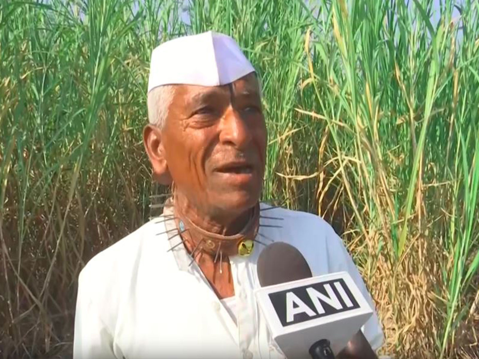 Pimperkhed village resident Vitthal Rangnath Jadhav (Photo/ANI)