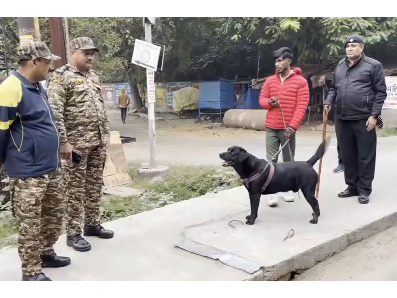 Lucknow cracks down on unlicensed dog walkers in Indira Nagar (Photo/ANI)