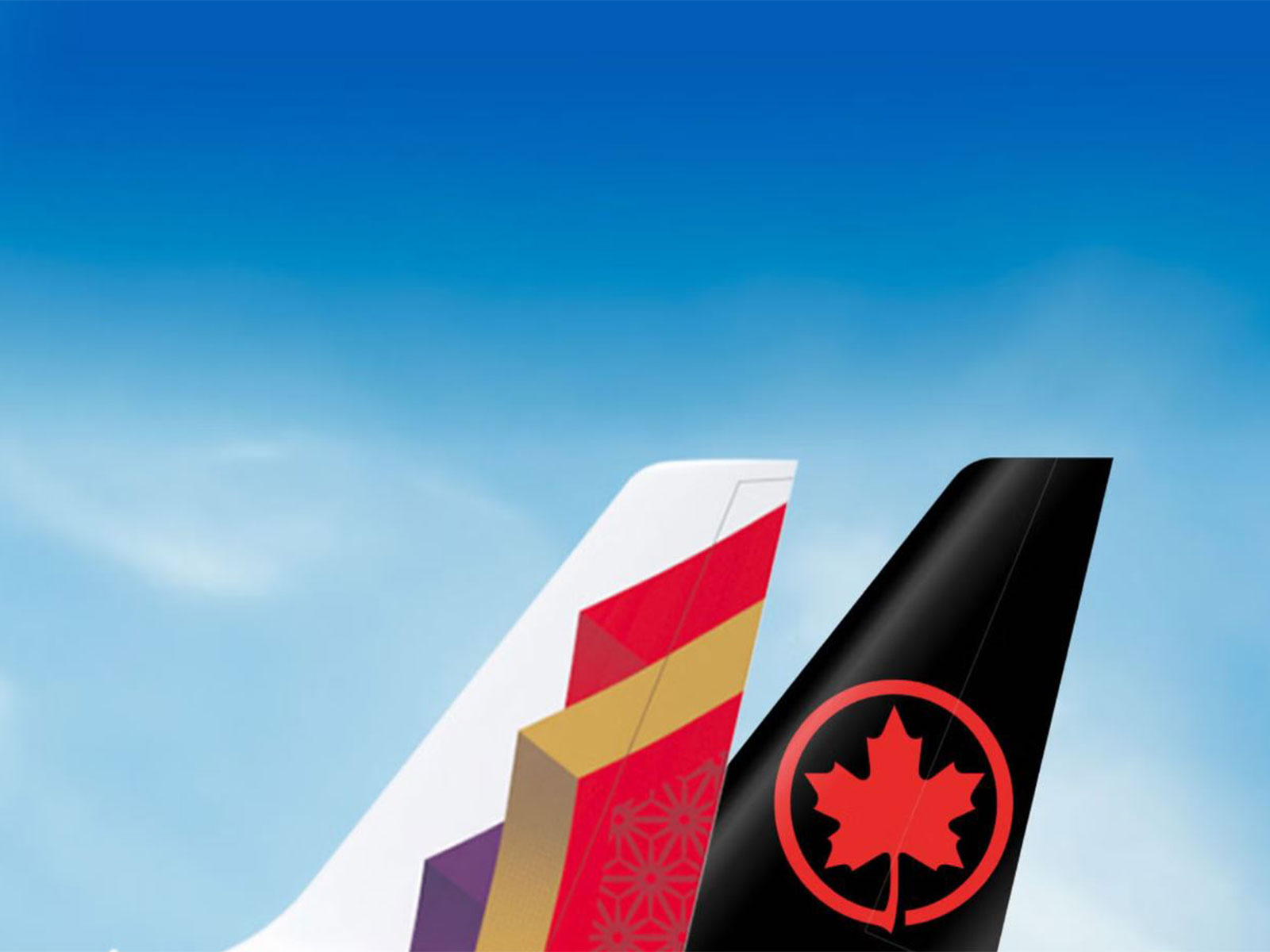 Air India and Air Canada reinstate codeshare agreement to boost air connectivity (Image: Air India)