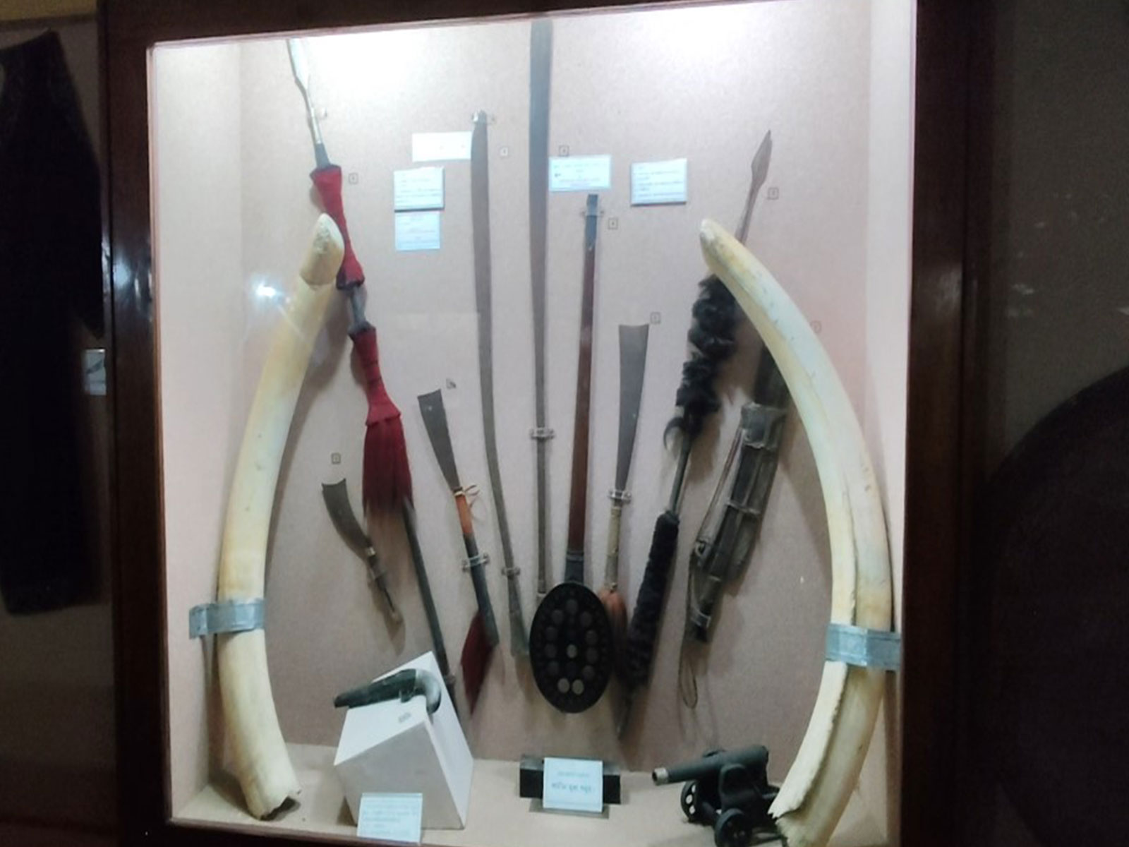  Historic Hengdang sword of Assamese national hero draws visitors to Auniati Satra  (Photo/ANI)