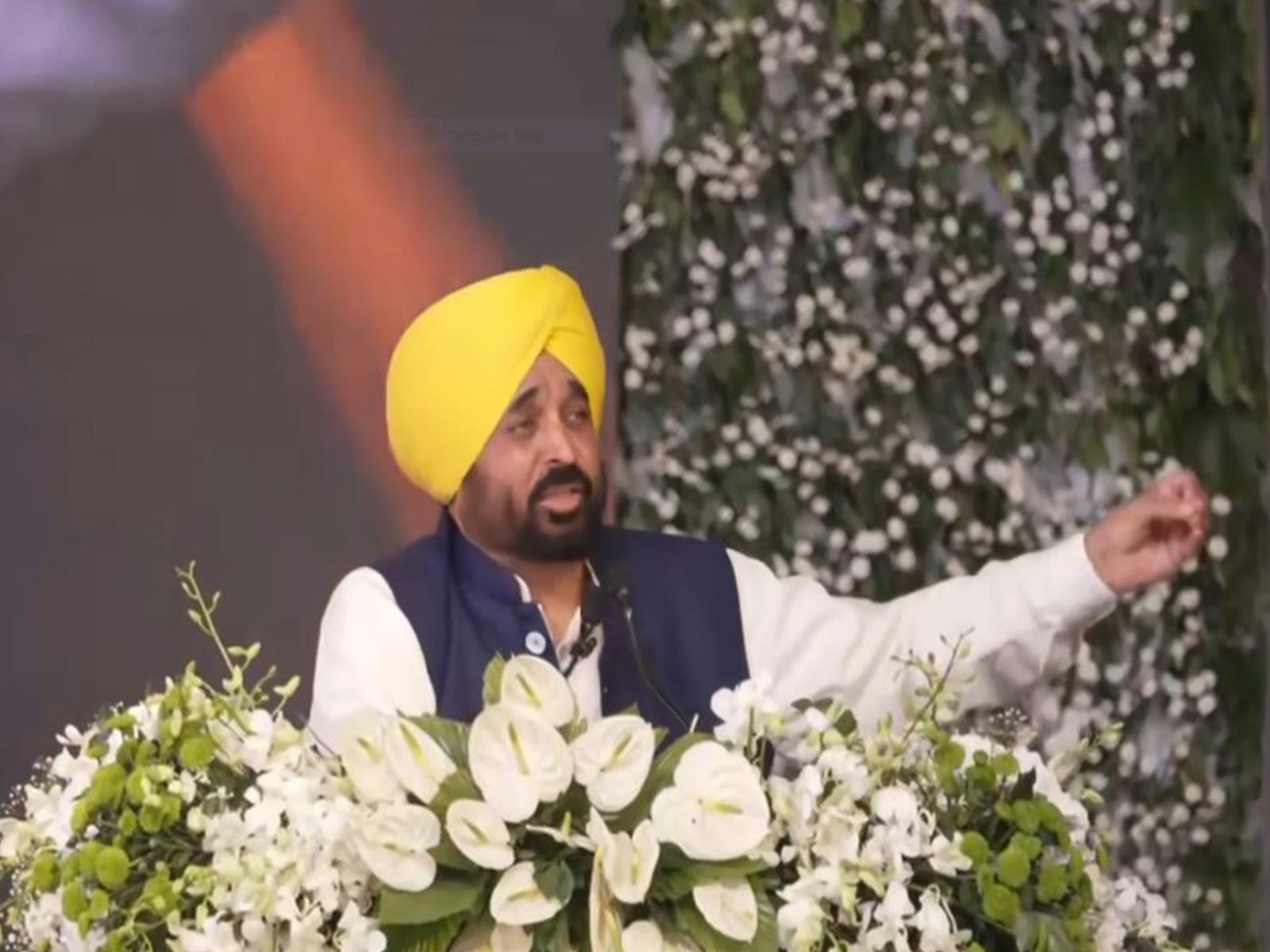 Punjab Chief Minister Bhagwant Mann (Photo/ANI)