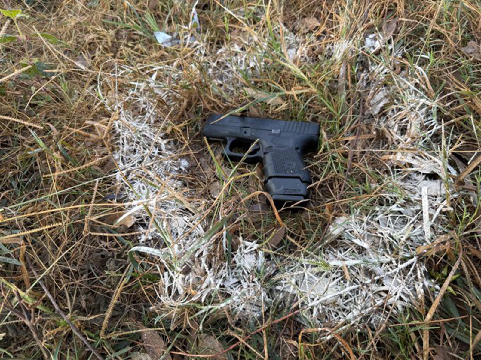 Recovered weapon of arrested Kawaljit Singh (Photo/X/@DGPPunjabPolice)