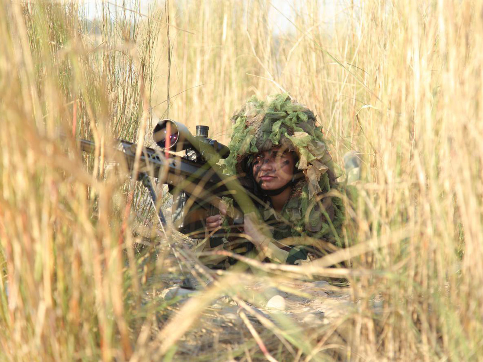 BSF (Border Security Forces) (Photo/X/@Amit Shah)