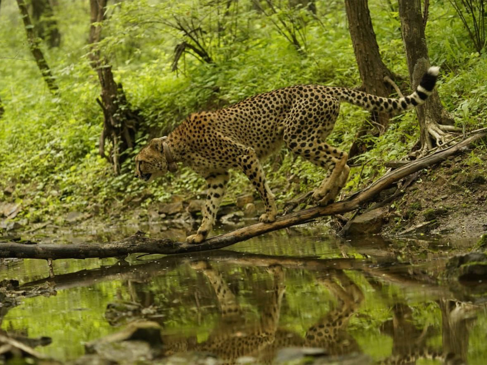 Reprsentative Image (Photo/X/@narendramodi)