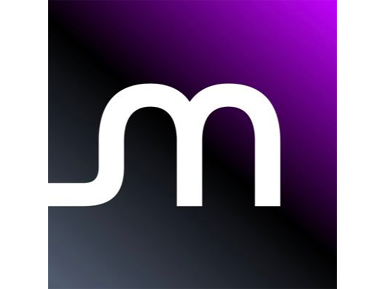 Micron Technology Logo (Image/@MicronTech/X)