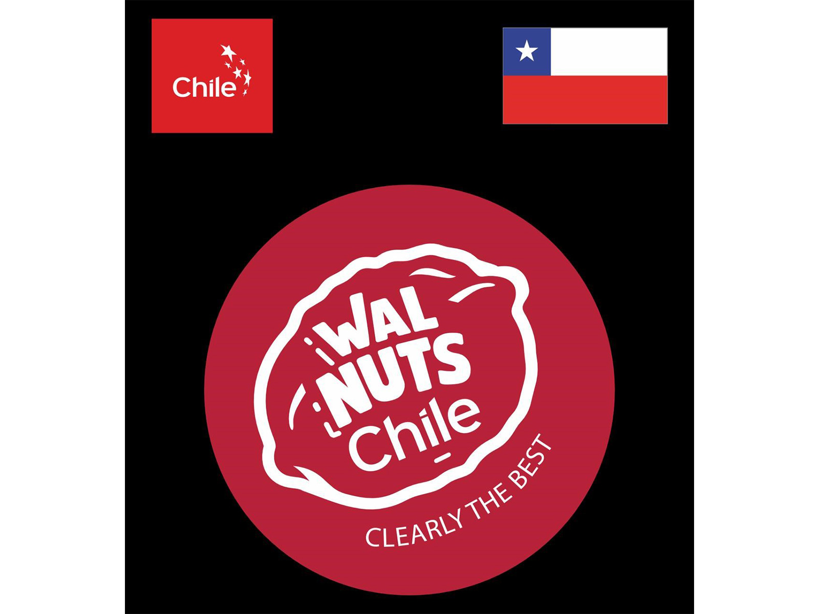 The Ultimate Winter Brain Food: Why Walnuts Belong in Every Household