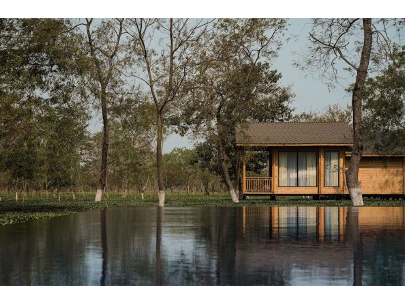 The Postcard in the Durrung Tea Estate, Assam