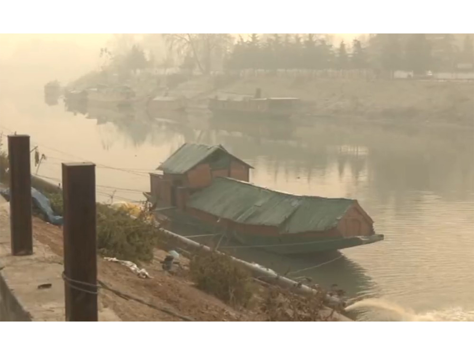 Dense fog amidst cold wave in Kashmir Valley (Photo/ANI)