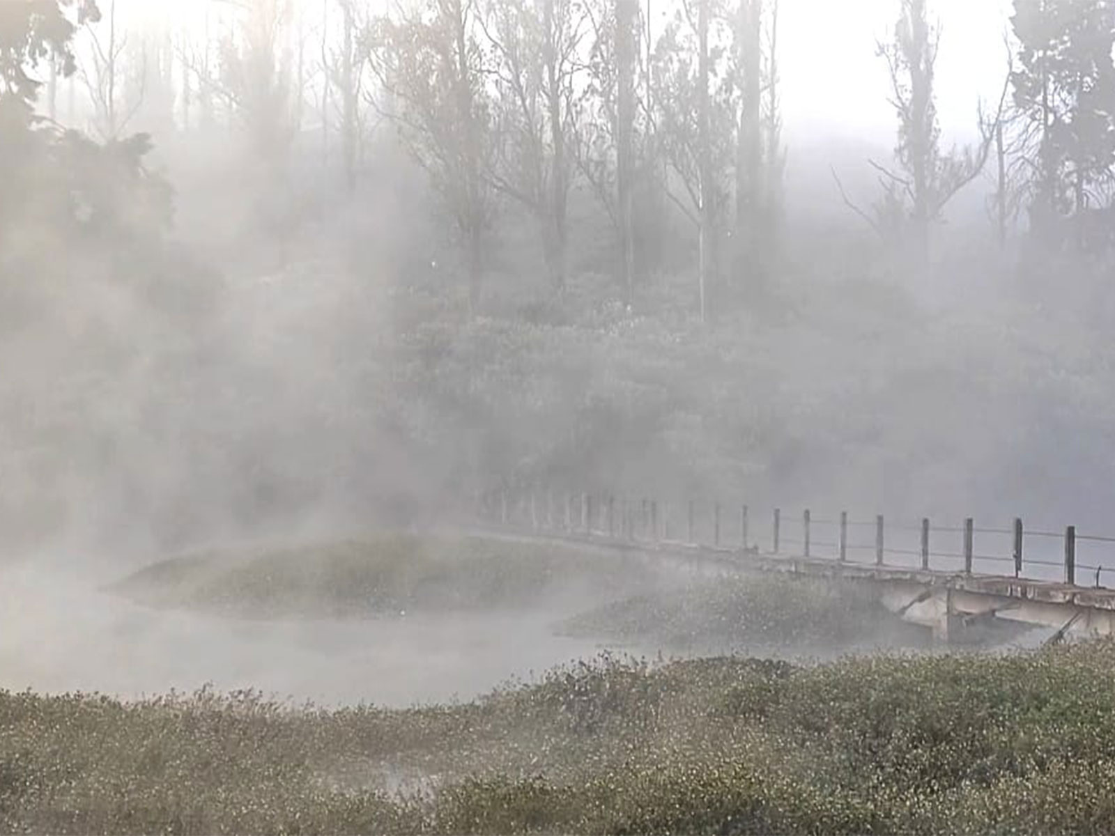 Tamil Nadu's Nilgiris, Ooty shivers (Photo/ANI)