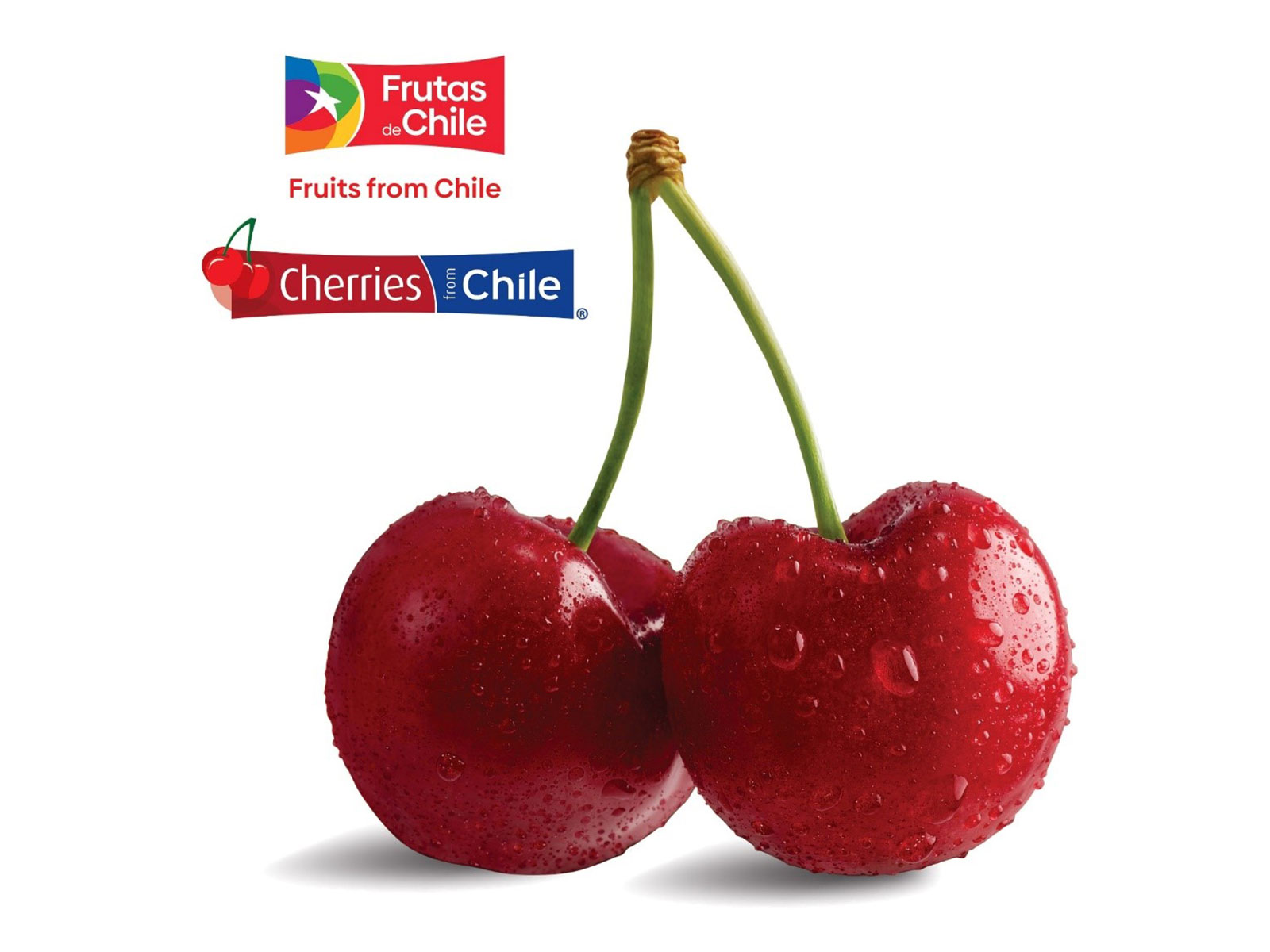The much-awaited 2025 season of Chilean cherries has arrived, bringing the freshest and most delicious cherries to markets across India