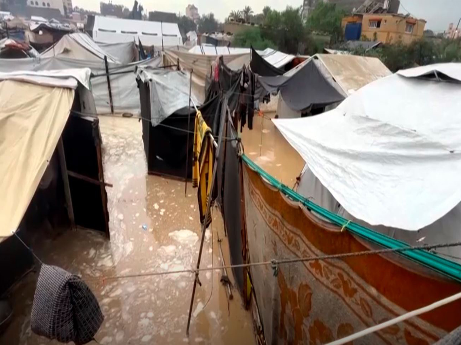 Severe weather kills 14 in Gaza (Photo/Reuters)