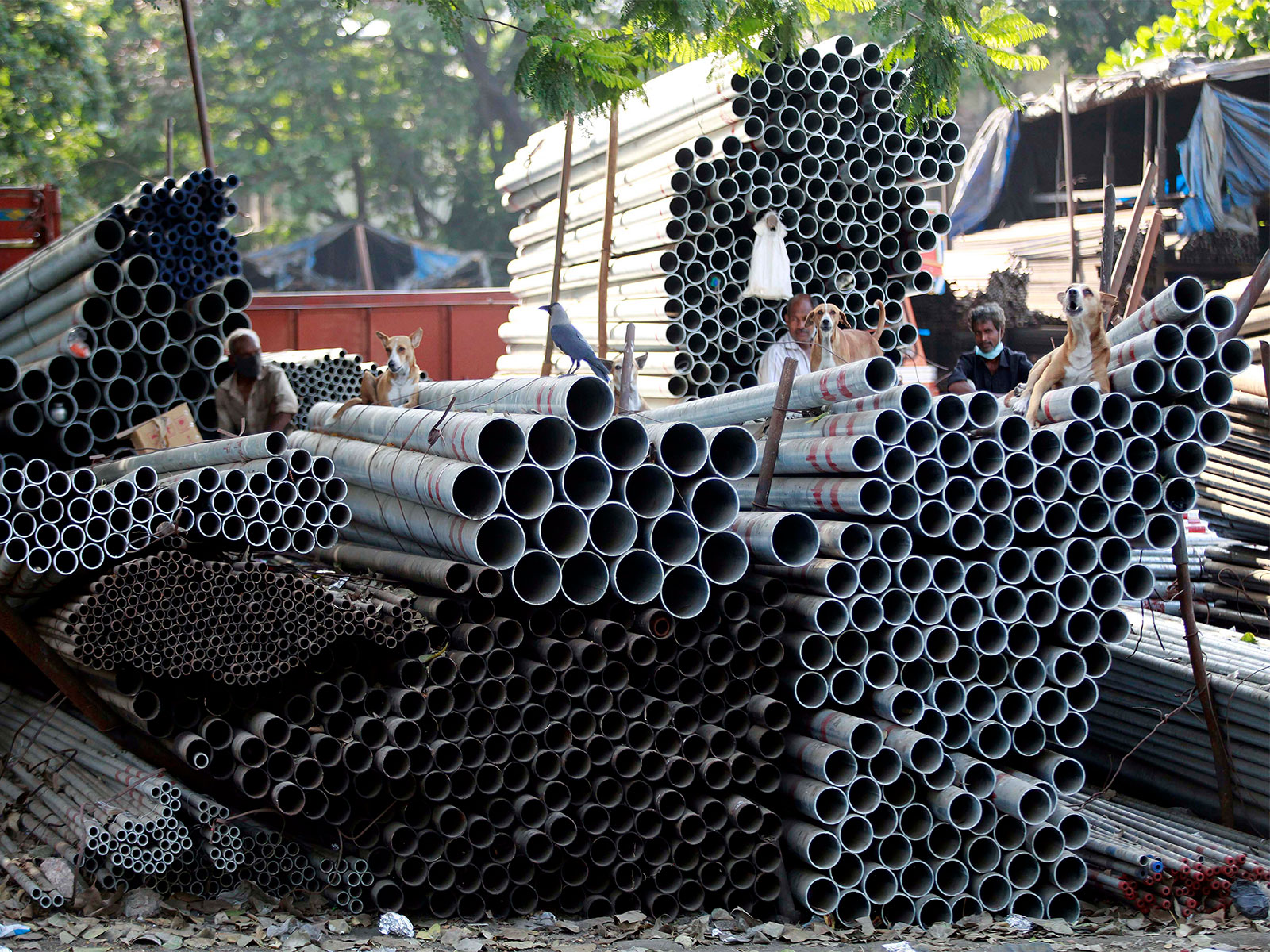 Representative Image (File Photo/ANI)