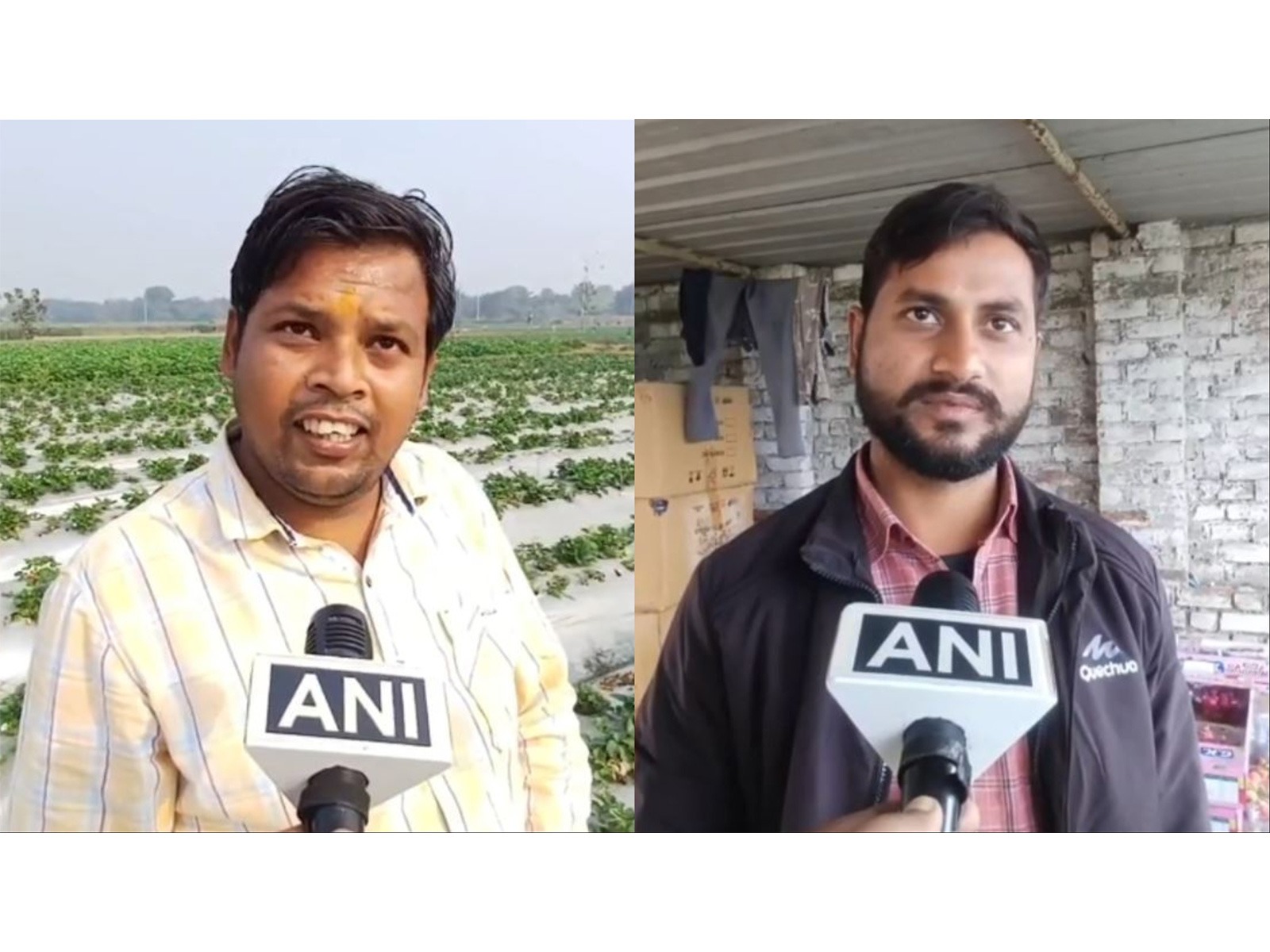 Farmers in Sambhal, Sumit Kumar and Mohammad Gulrez (Photo/ANI)