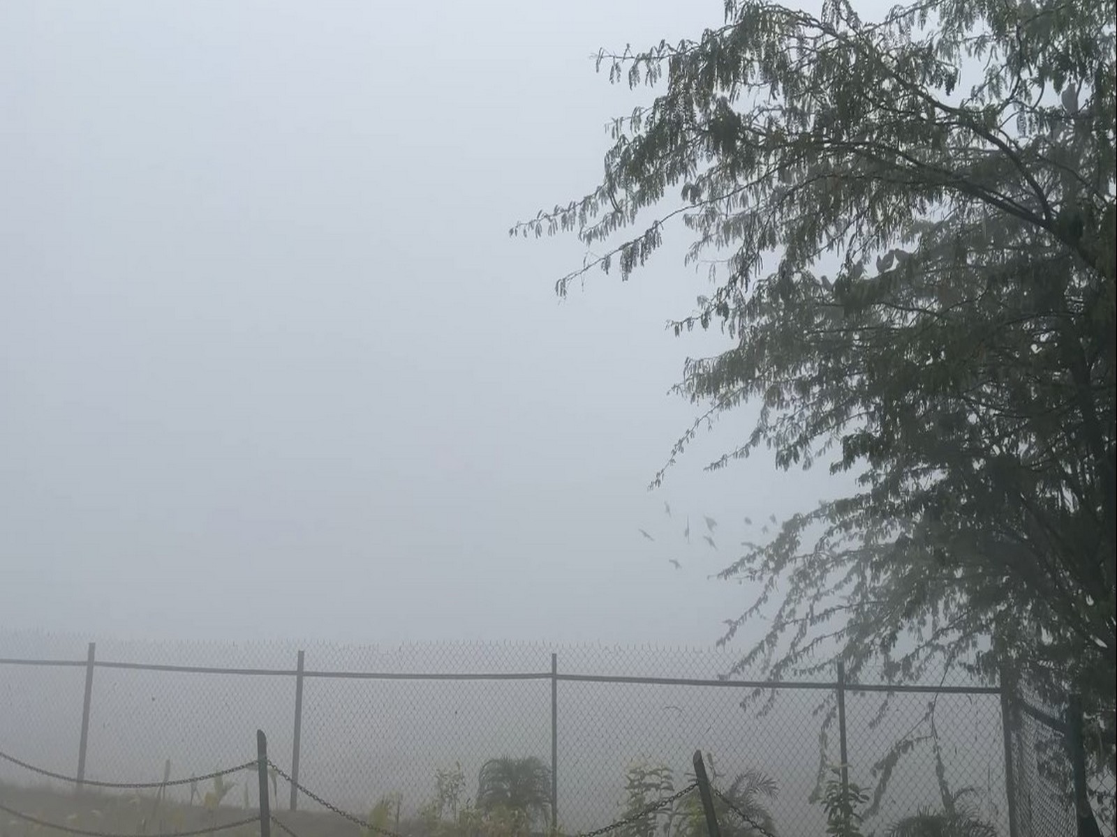 Taj Mahal not visible due to fog (Photo/ANI) 