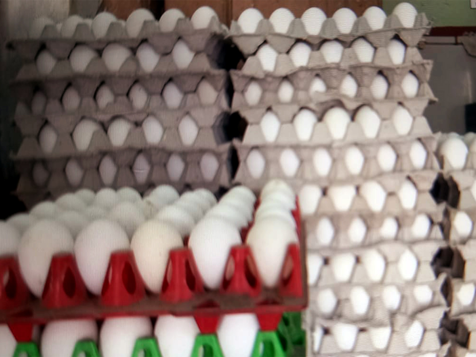 Representative Image (File Photo/ANI) 