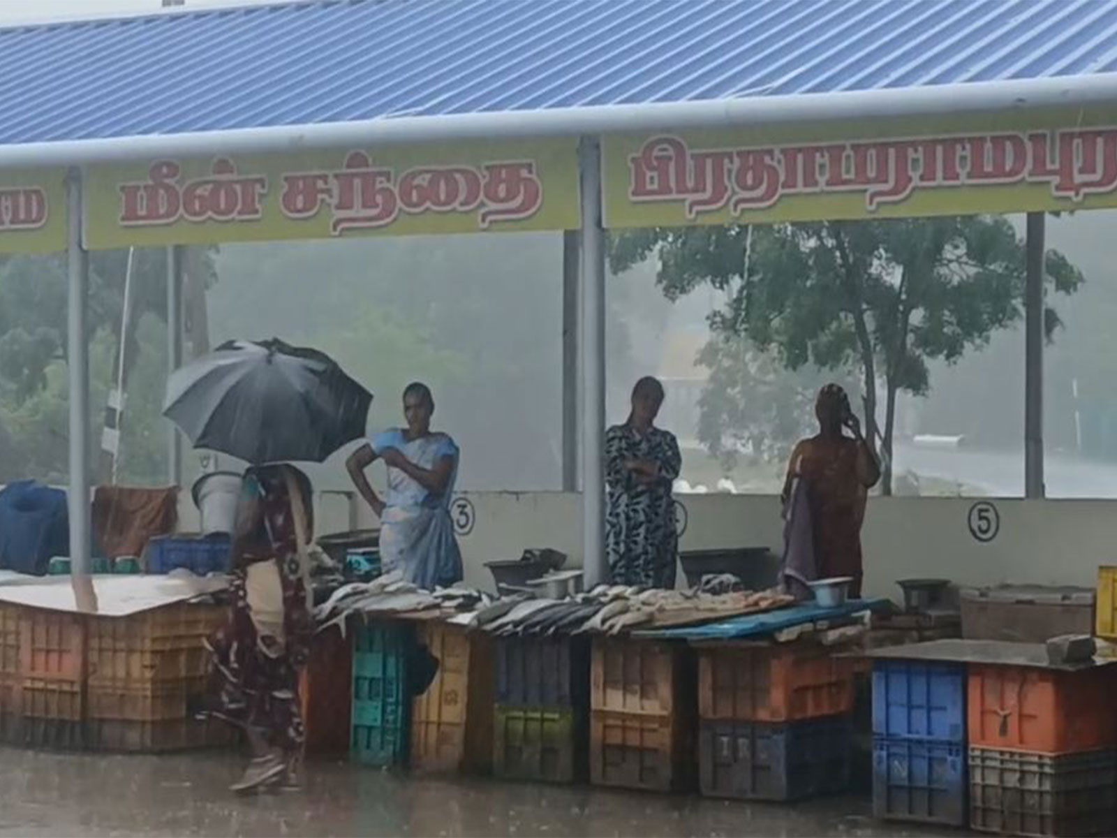 Visuals of rain from Nagapattinam district (Photo/ANI)