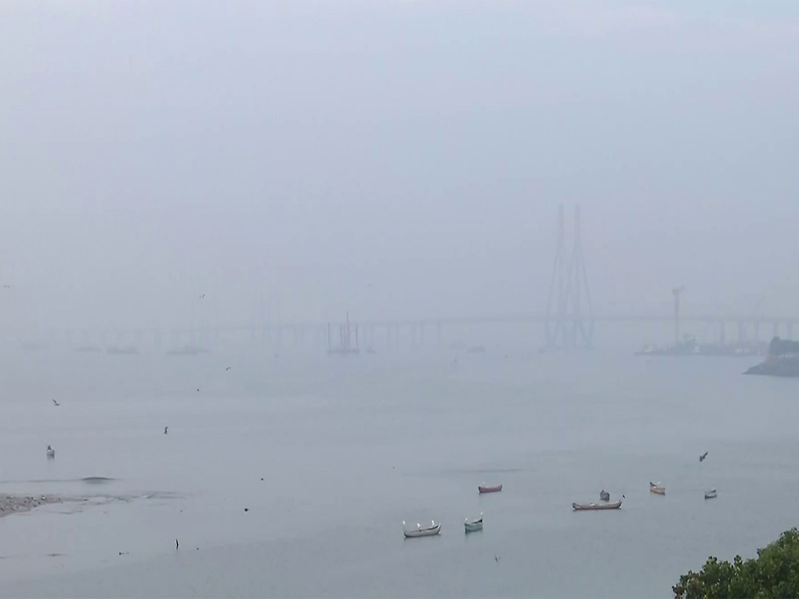 Thick layer of smog in Mumbai's Bandra area(Photo/ANI)i)