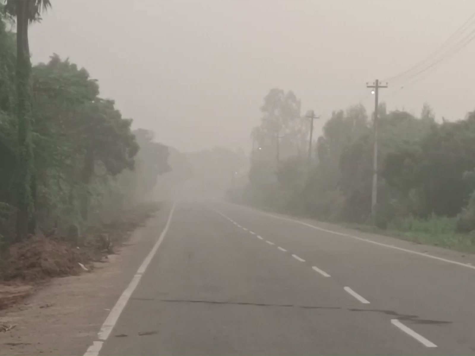 Heavy fog in Chengalpattu (Photo/ANI)
