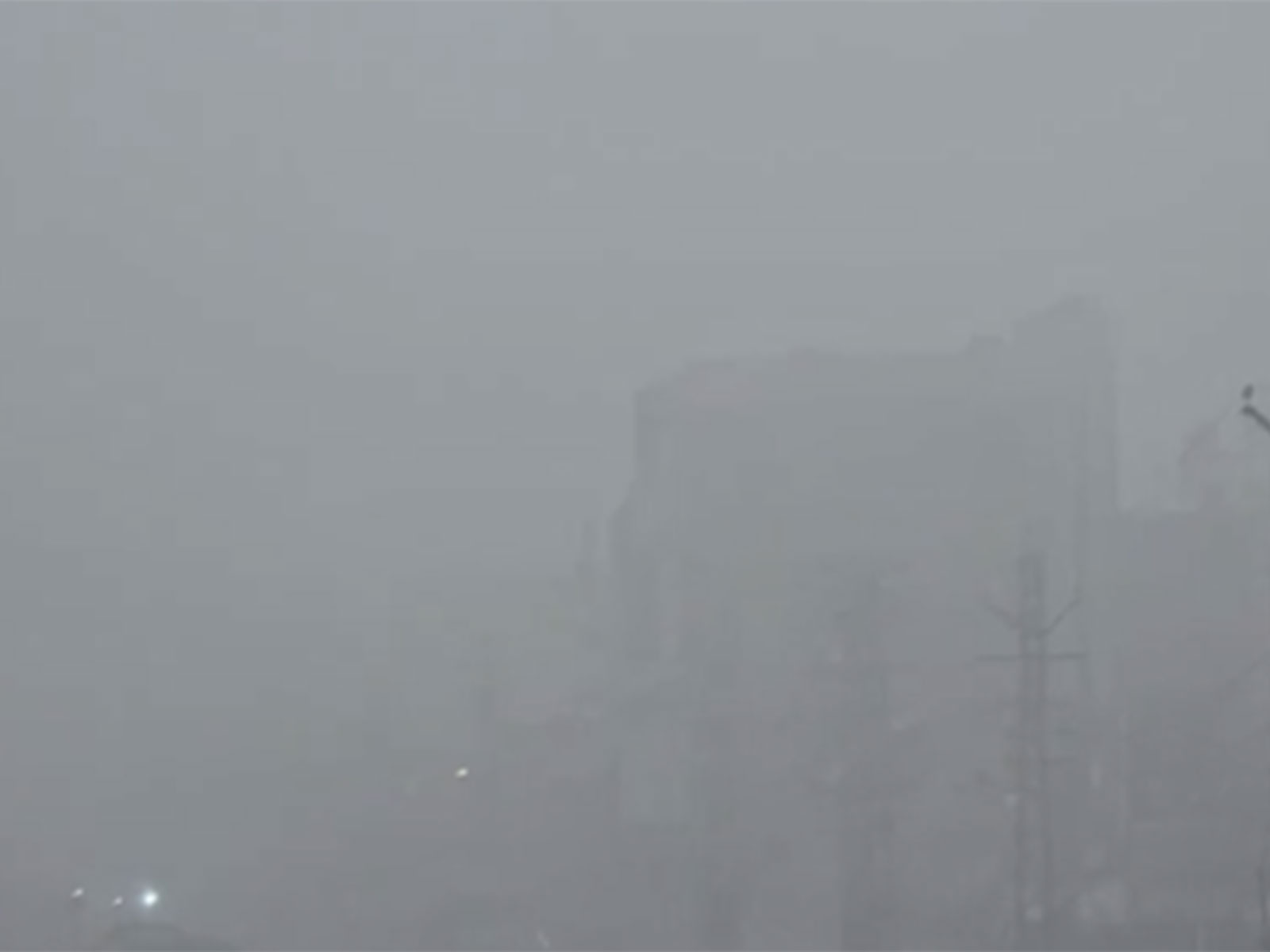 Dense fog envelopes Dholpur city of Rajasthan (Photo/ANI)