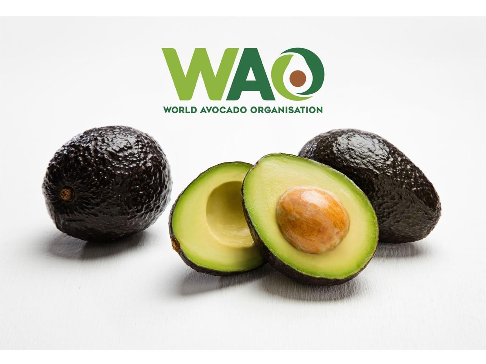 From Niche to Mainstream: The Rapid Growth of Avocado Imports in India