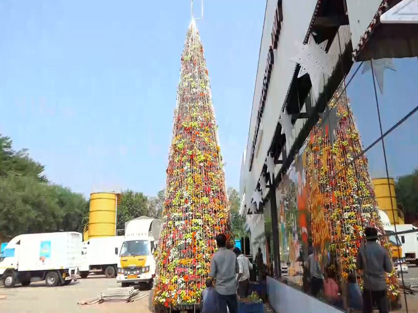 Eco-friendly Christmas tree set up in Malappuram (Photo/ANI)