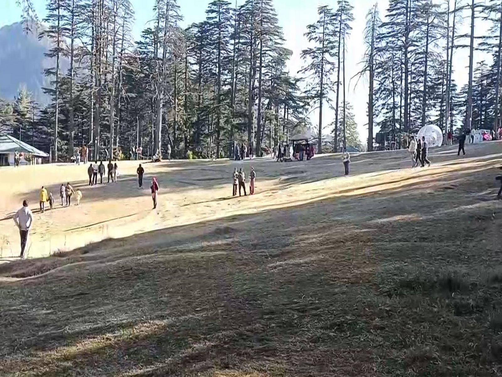 Tourists throng Patnitop to celebrate New Year (Photo/ANI) 