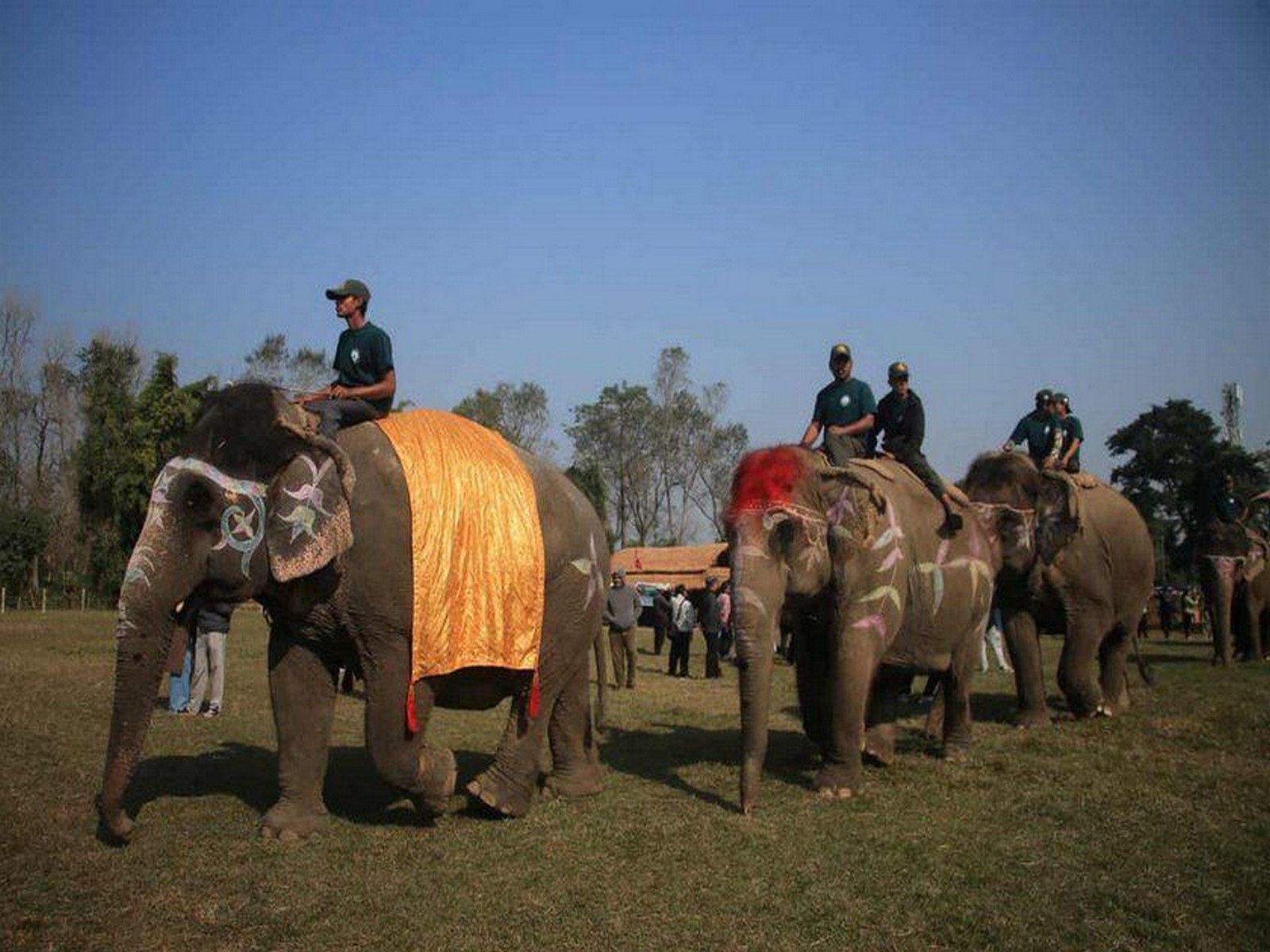 Elephants decorated in colourful patterns parade during the annual Elephant and Tourism Festival in Sauraha, Nepal, where they also took part in a penalty shootout competition, drawing large crowds of tourists and locals (Photo/ANI) 