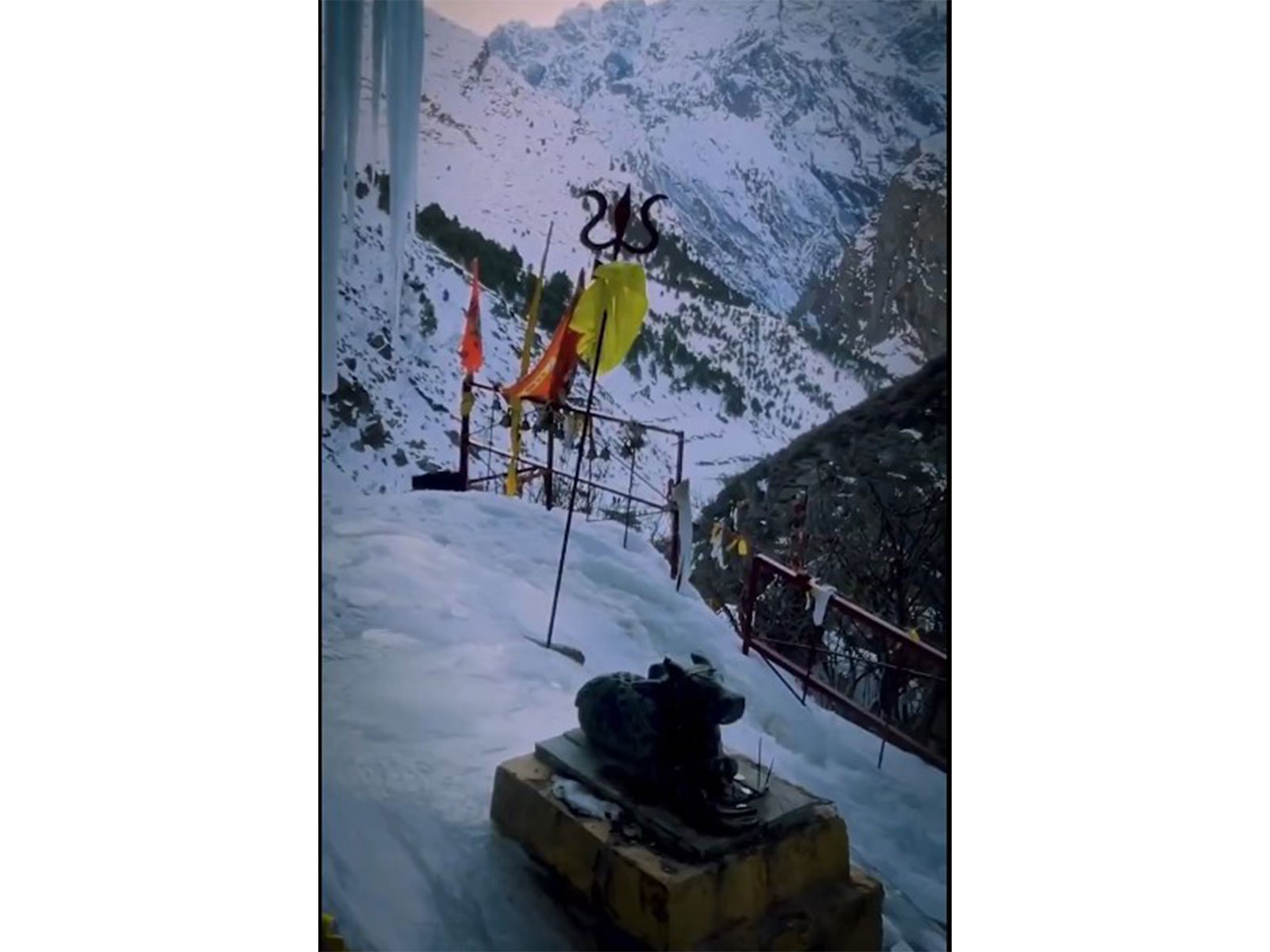 Visual shared by Uttarakhand Chief Minister Pushkar Singh Dhami (Photo/X @pushkardhami)