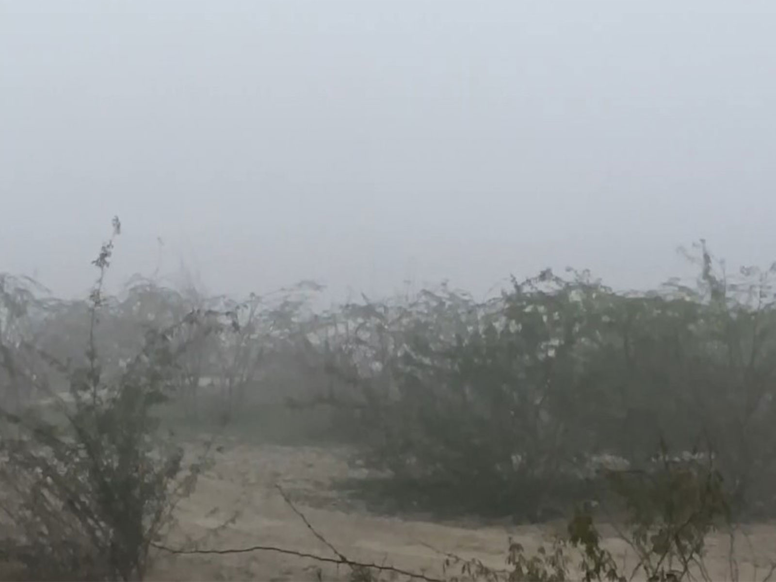 Fog clouds visibility of Taj Mahal  (Photo/ANI) 