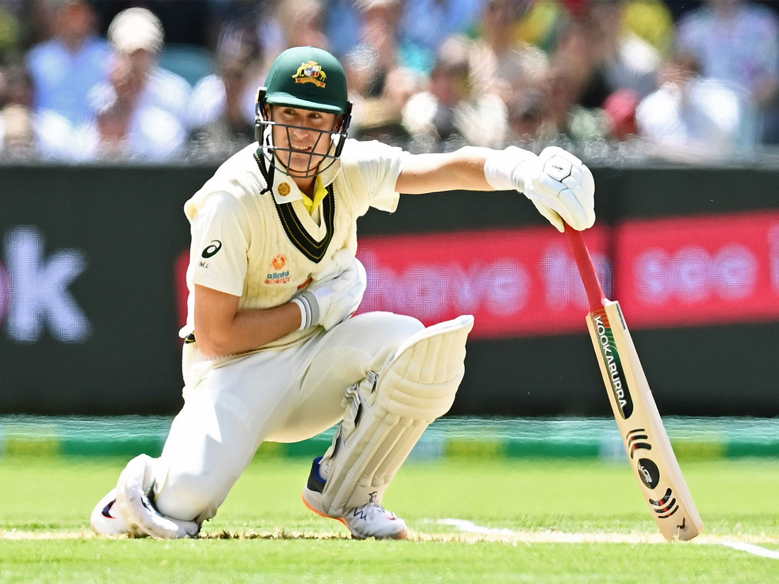Marnus Labuschagne of Australia (Photo: ANI)