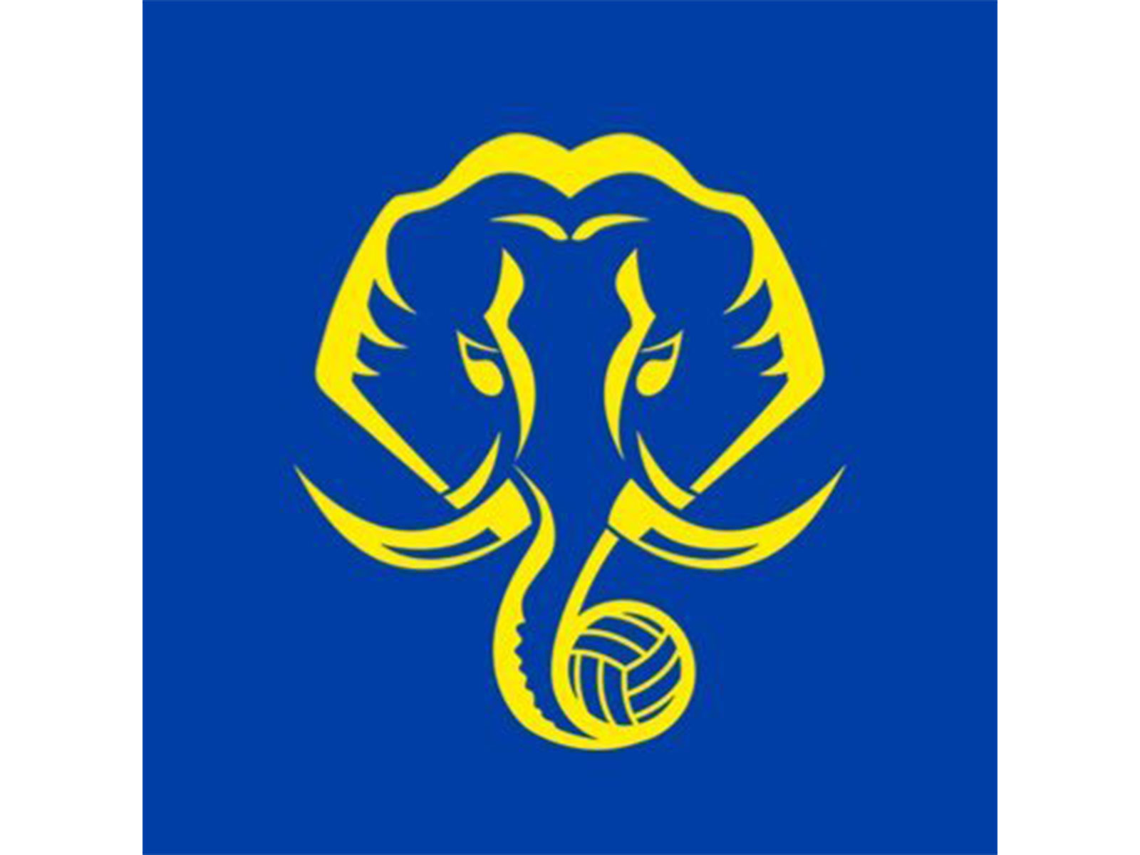 Kerala Blasters FC logo (Photo: X/@KeralaBlasters)