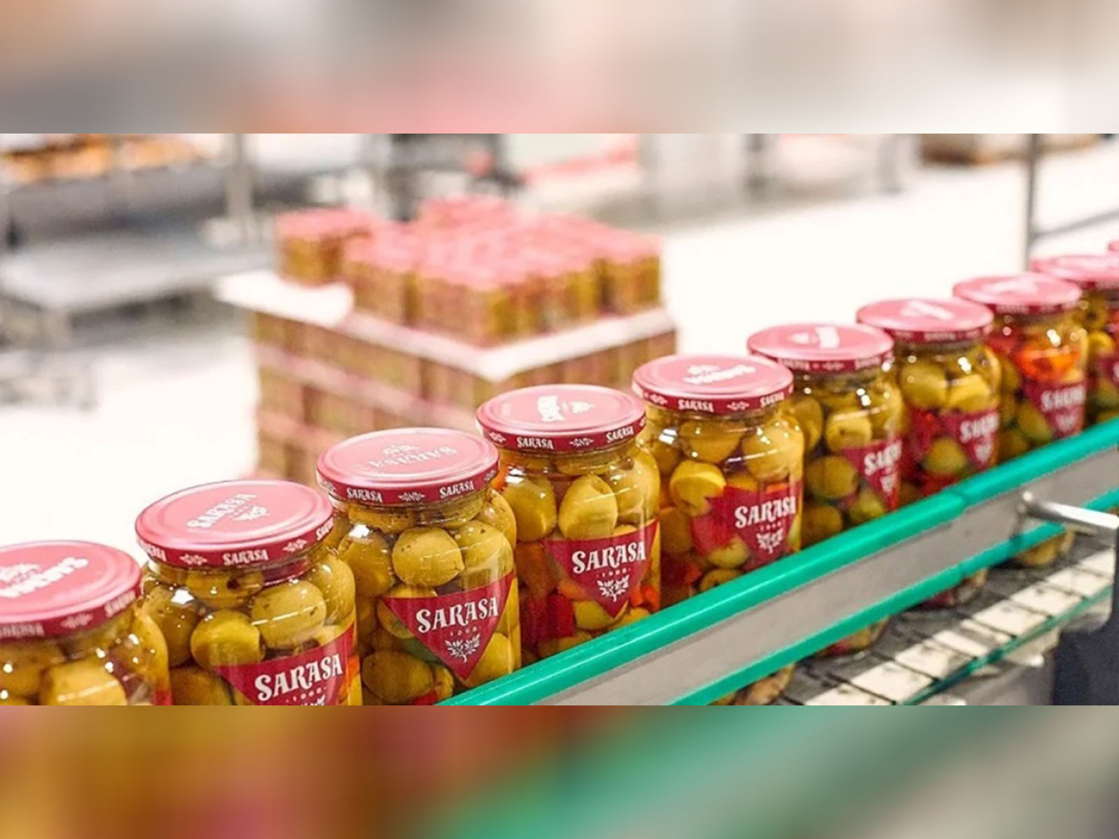 Freshara Agro Exports Limited Charts Its European Foray with Strategic Acquisitions in Spain | Strengthening Its Global Presence
