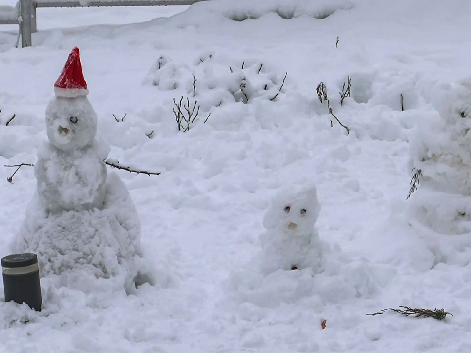 Representative image (File Photo/ANI)