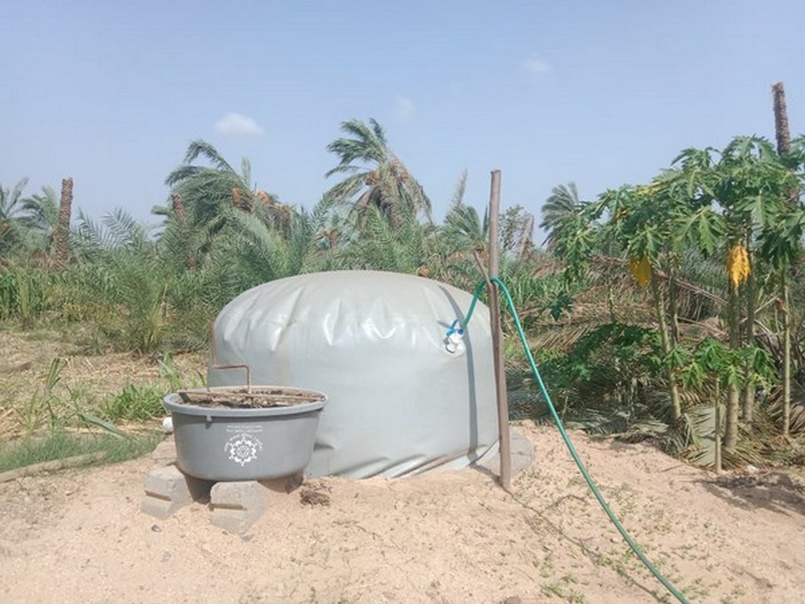 Representative Image (File Photo/ANI)