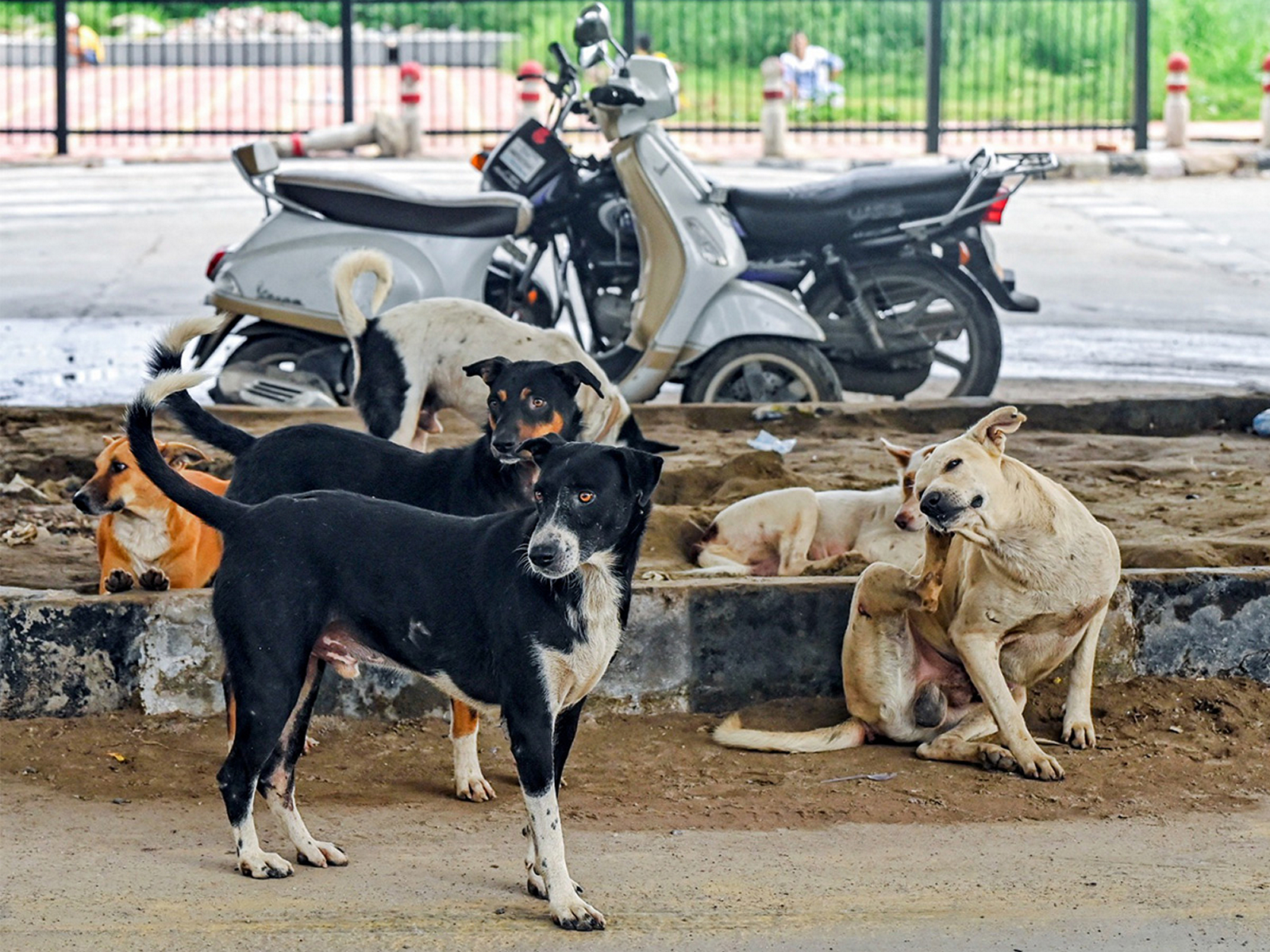 Representative image (File Photo/ANI)