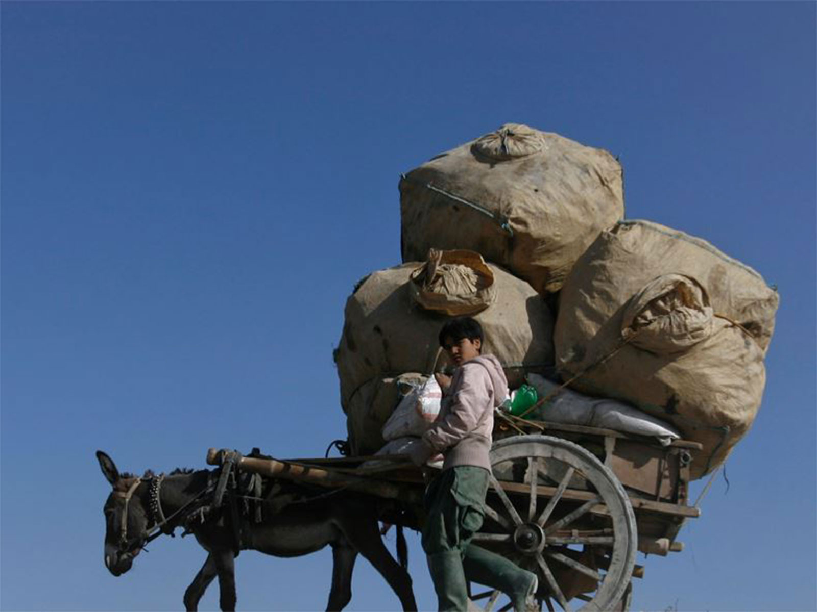 Representative Image (Photo/ANI)