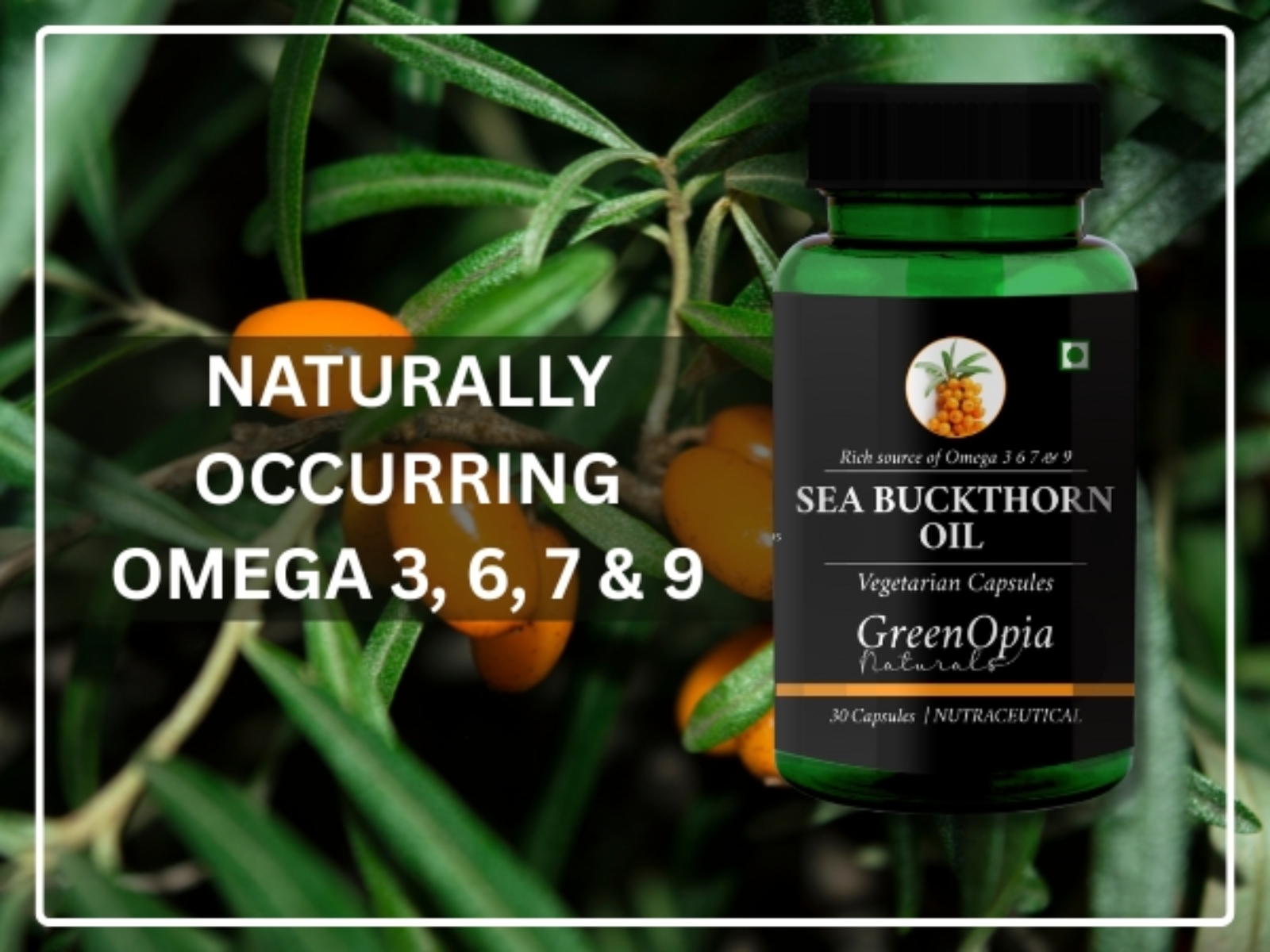 GreenOpia Sea Buckthorn Oil Capsules: The Natural Path to Inner Wellness and Radiant Health