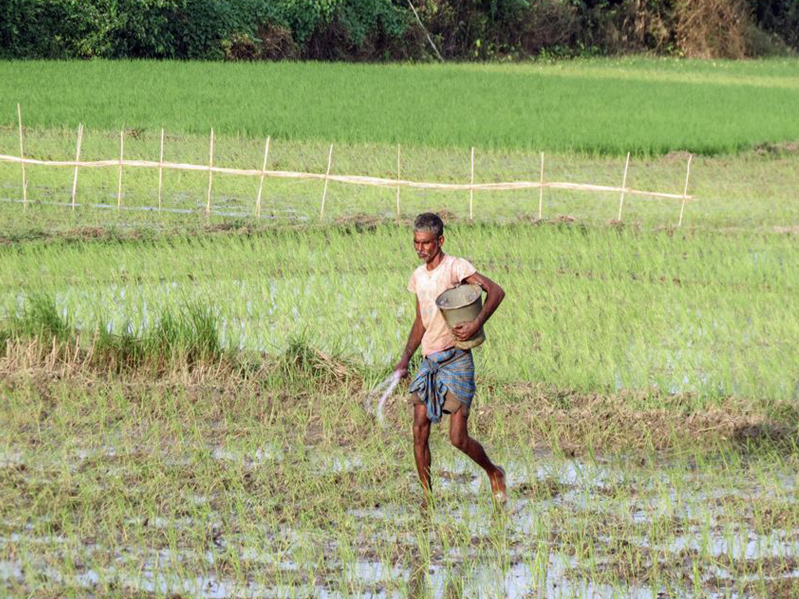 A farmer working in the field. (File Photo/ANI)