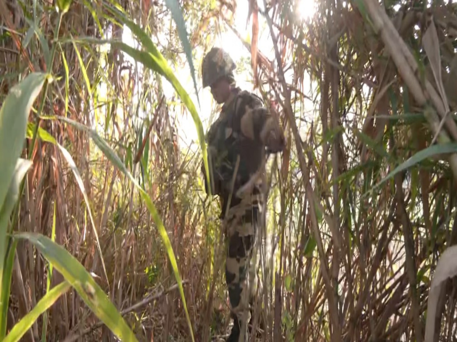 Search operation underway after arms consignment recovered in Samba (Photo/ANI)