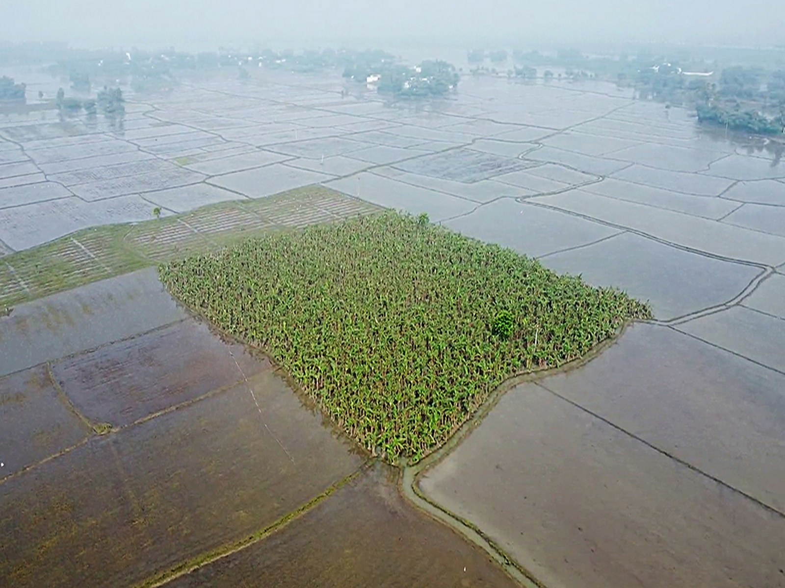 Representative image (Photo/ANI)