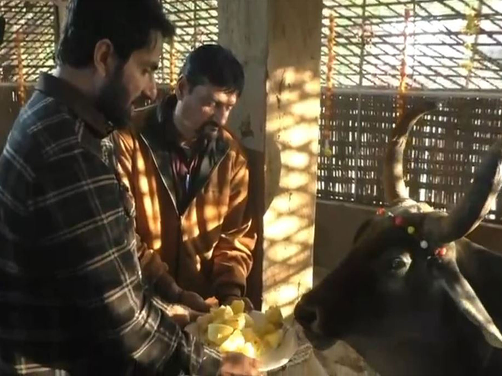 Sonu Sood visits Varahi Gaushala (Photo/ANI)