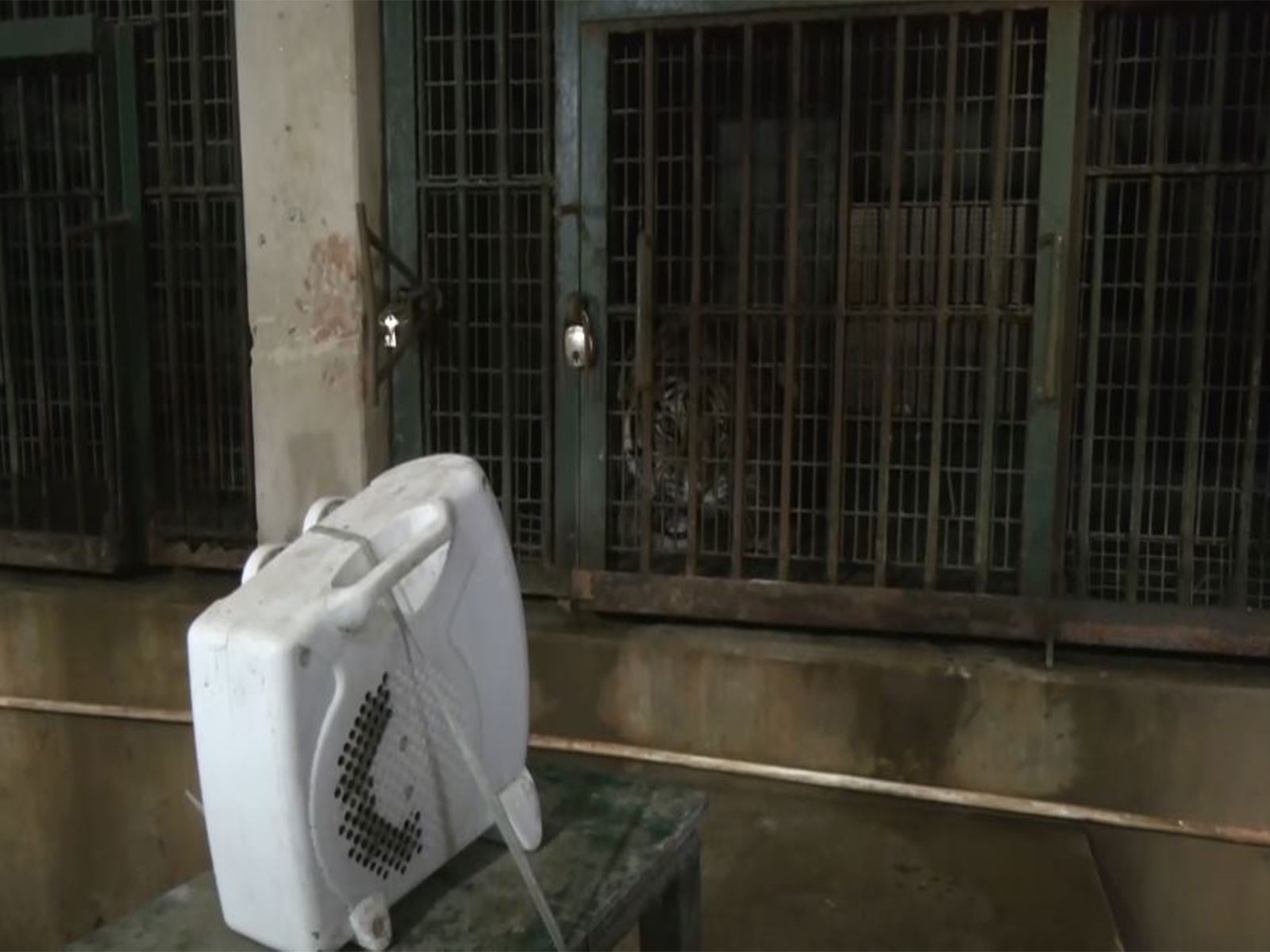 Heaters being used to keep animals warm in Assam State Zoo. (Photo/ANI)