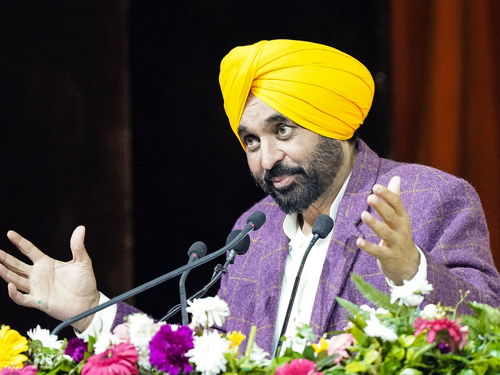 Punjab CM Bhagwant Mann (Photo/ANI)