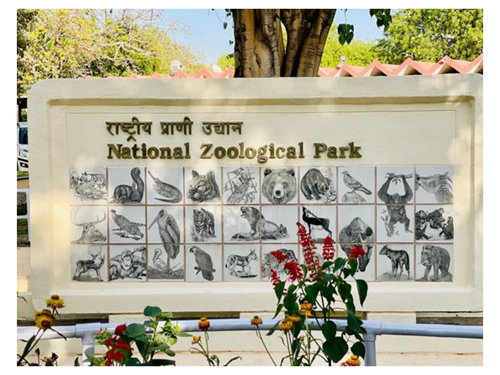 The National Zoological Park Delhi (Photo/ANI)