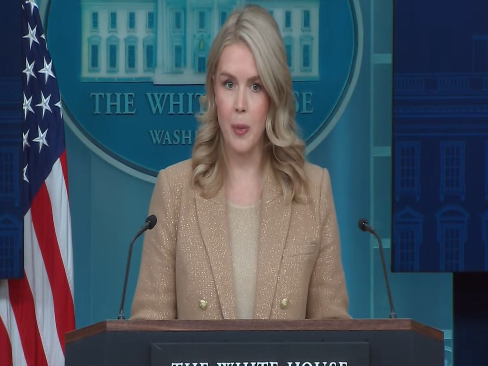 White House Press Secretary Karoline Leavit (Photo/Youtube of White House)