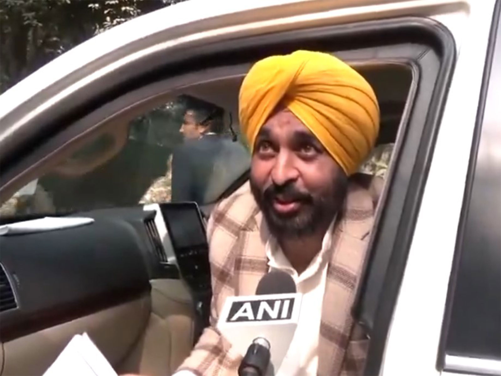 Punjab CM Bhagwant Mann (Photo/ANI)